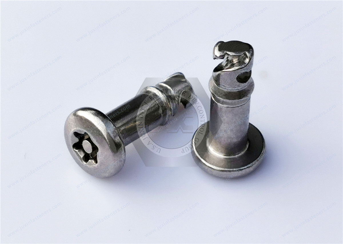 Tornillos Torx de cabeza de botón de acero inoxidable a prueba de manipulaciones con pasador, tornillos de bloqueo rápido de 1/4, sujetadores de seguridad Tornillos Torx de cabeza de botón de acero inoxidable a prueba de manipulaciones con pasador, tornillos de bloqueo rápido de 1/4, sujetadores de seguridad